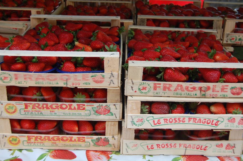 nemi strawberry