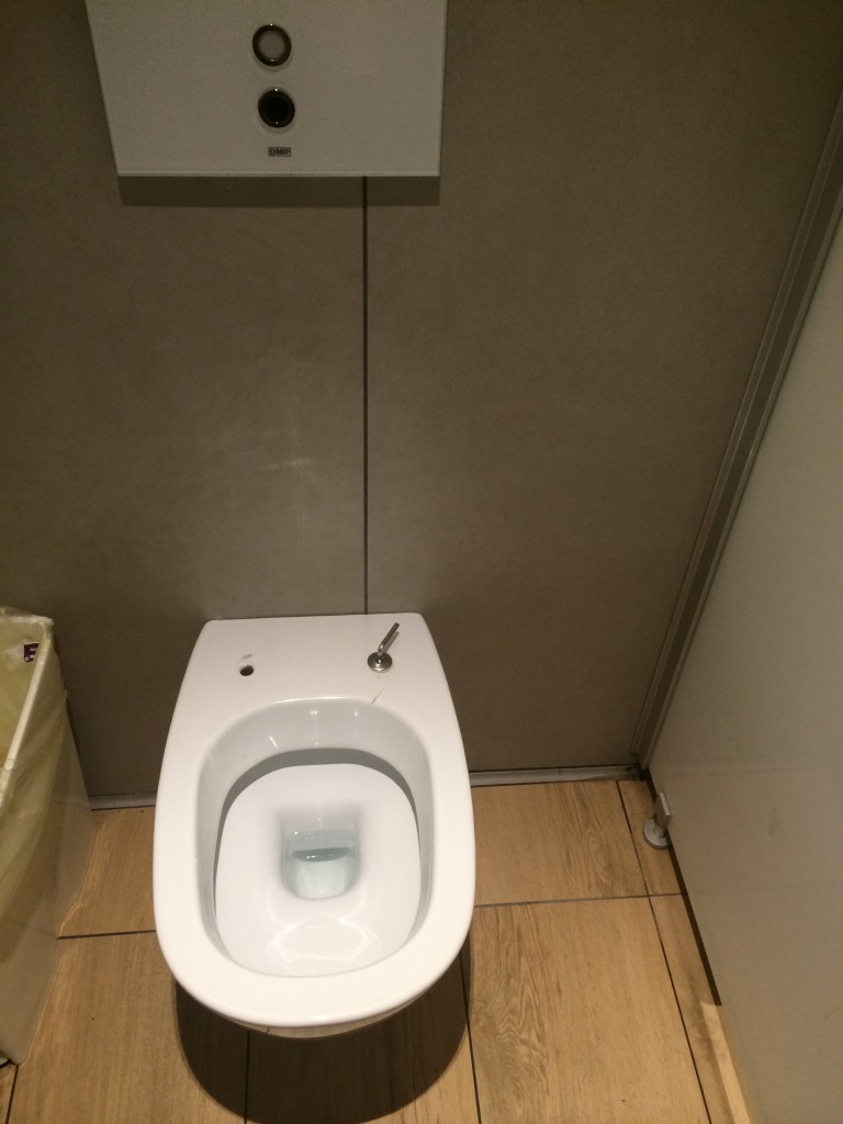 Fiumicino airport toilet