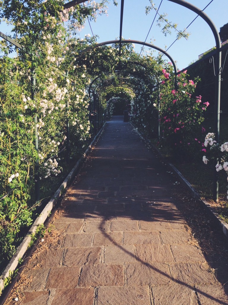 rose tunnel rome