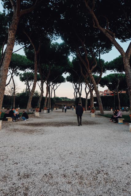 rome pine trees over a walkway