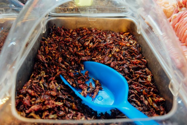 Eating grasshoppers in Mexico