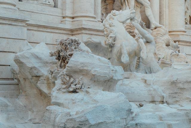 Rome's trevi fountain detail