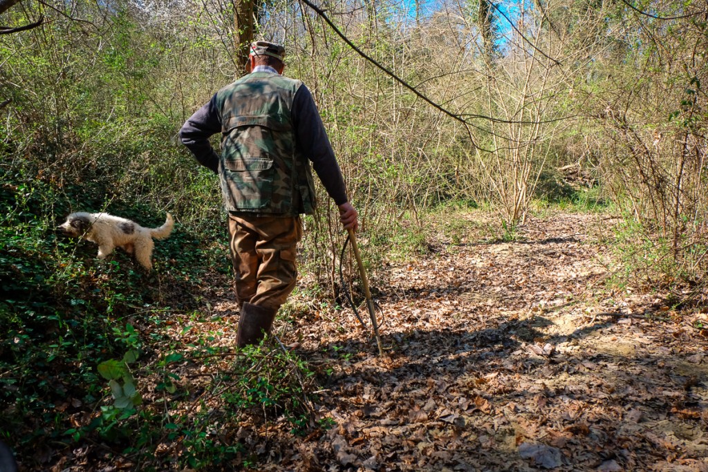 truffle hunting with tartufai del garbo