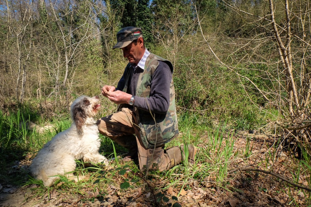 truffle hunting Tuscany