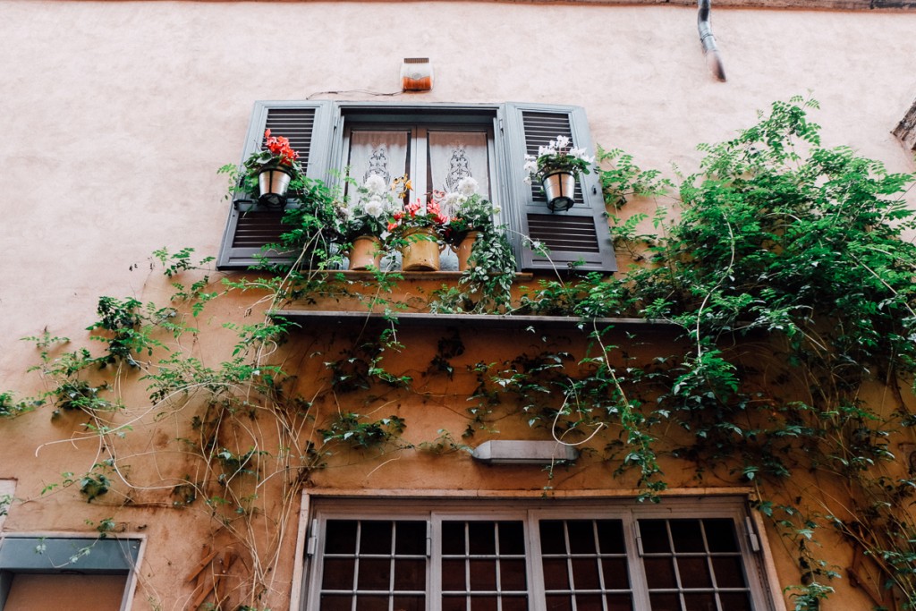 Window box in Trastevere