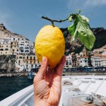 Amalfi lemon