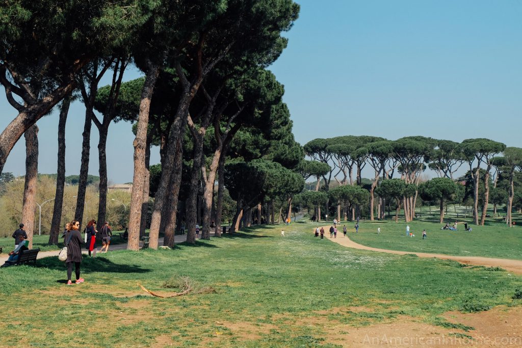 villa pamphili in Rome with pine trees lining a green space with walkers