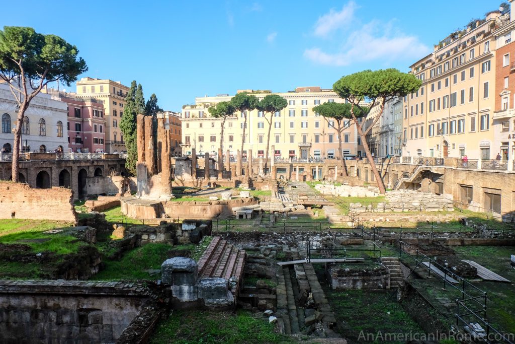 looking across Largo Argentina Cat Sanctuary in Rome on a sunny day with trees and apartments in the background