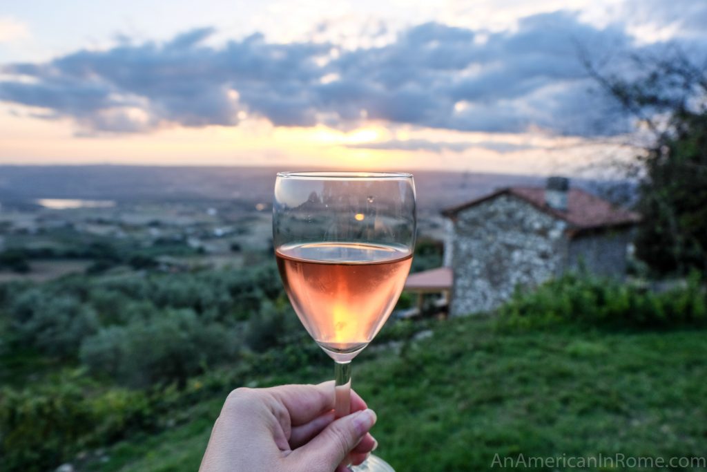 hand holding wine glass over Italian countryside