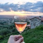 hand holding wine glass over Italian countryside