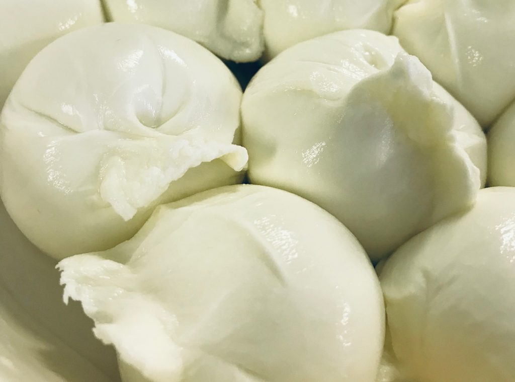 Balls of fresh cheese, known as burrata cheese, resting on a plate after being handmade in Italy