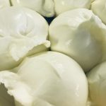 Balls of fresh cheese, known as burrata cheese, resting on a plate after being handmade in Italy