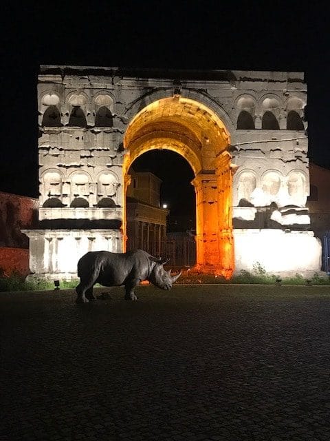 Arch of janus with orange light and rhino in front at night