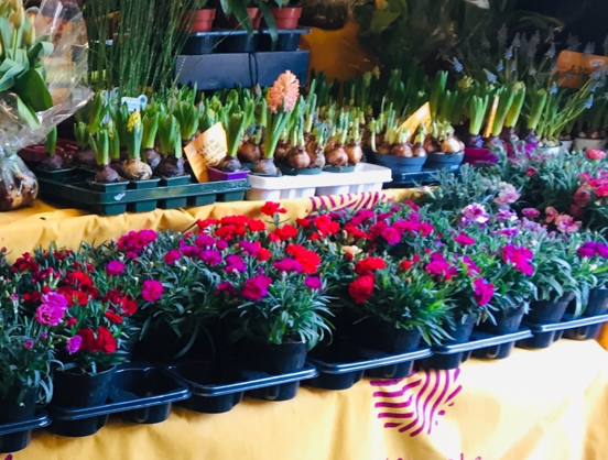 flowers for sale at Rome farmer's market