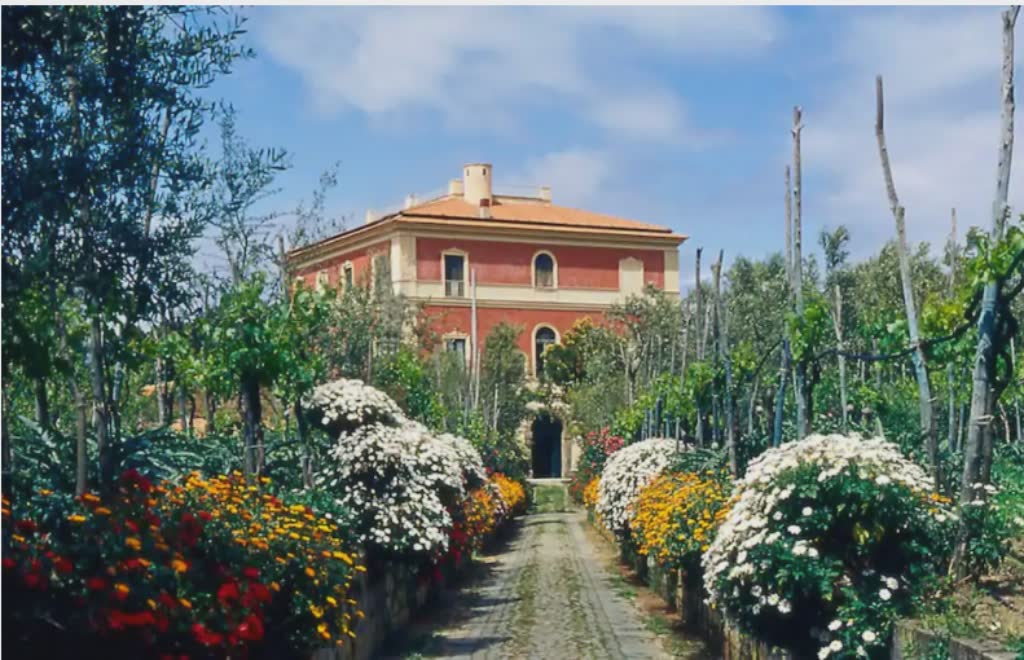 villa set in garden